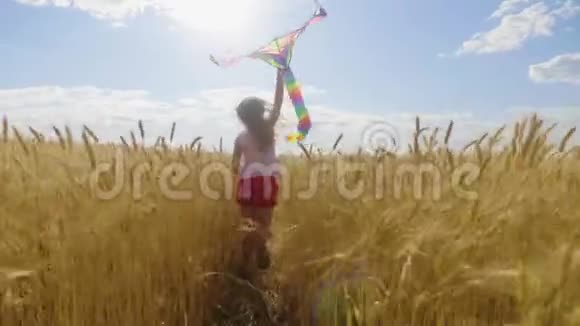夏天在麦田里玩风筝的漂亮女孩童年生活方式的概念视频的预览图