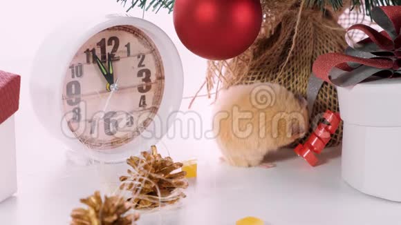 2020年新年的象征是靠近新年树的老鼠手表和礼物新年概念视频的预览图