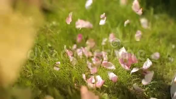 一个年轻的欧洲女孩在快乐的夏日用粉色和白色的花朵做一个温柔的花朵视频的预览图