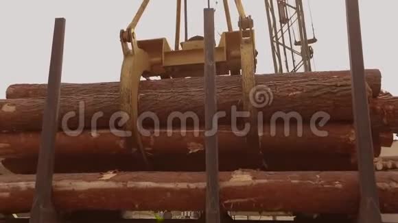 用大型起重机卸载原木用机械手卸载原木在锯木厂工作视频的预览图