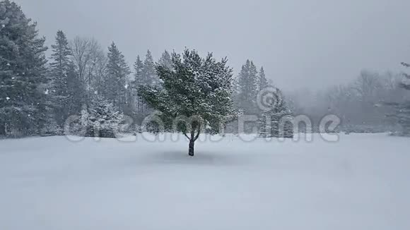 慢动作开放景观的冬季雪视频的预览图