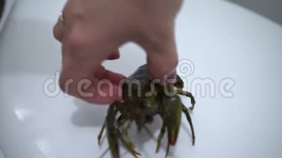 白底活小龙虾烹饪前小龙虾视频的预览图