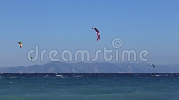 海边的风筝冲浪夏日沙滩上的小猫冲浪五颜六色的风筝视频的预览图