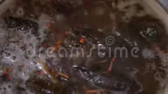 小龙虾在平底锅中煮特写视频的预览图