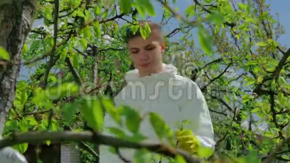 农民用化学物质喷洒树木视频的预览图