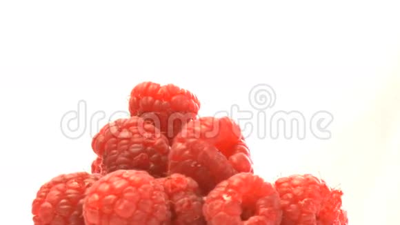 蔓越莓集群视频的预览图