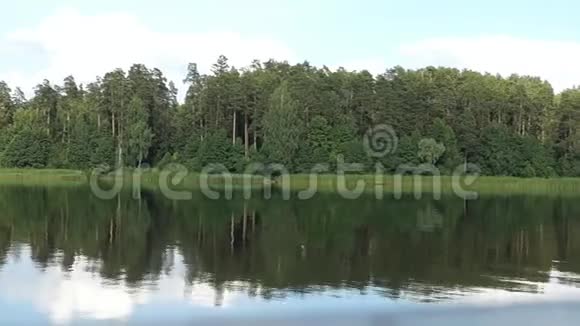 美丽的湖泊景观与森林视频的预览图