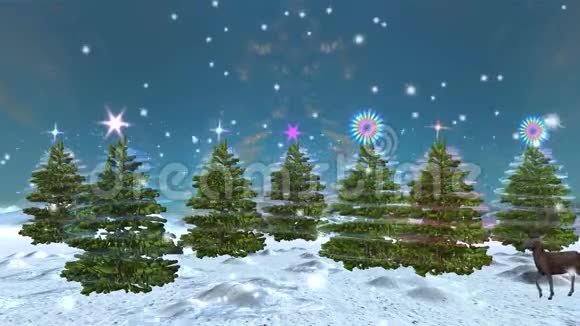 3D绘制一个迷人的树林视频的预览图