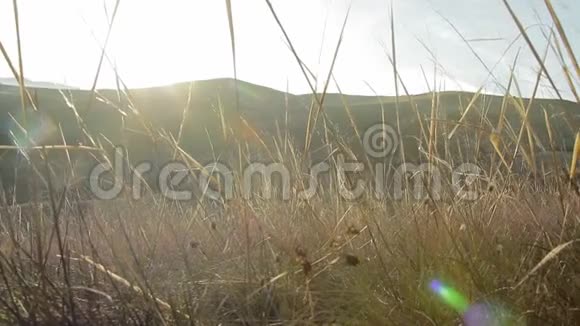 2照相机正在山上日落时分的干草中移动视频的预览图