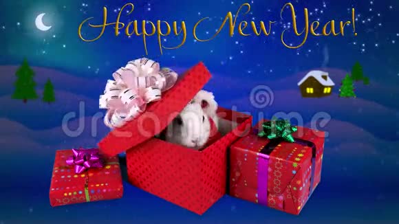 带文字的新年贺卡有趣的兔子打开礼物盒视频的预览图