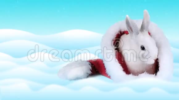 白兔坐在圣诞帽里冬日背景视频的预览图