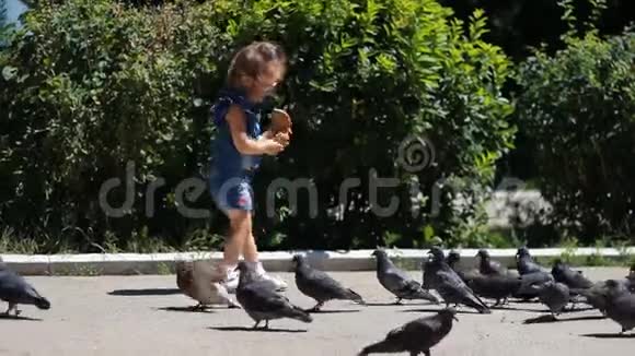小女孩正在公园里喂鸽子视频的预览图
