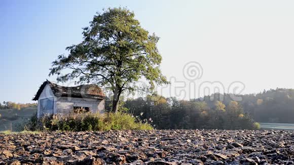 废弃的棚屋日出时在田野里的谷仓旁边是树视频的预览图