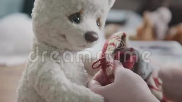 女用手把羊毛衫放在毛绒玩具上一只可爱的泰迪熊视频的预览图