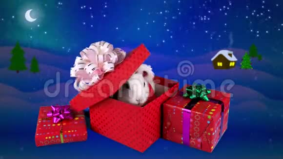 圣诞礼品盒惊喜白兔开门礼物盒视频的预览图