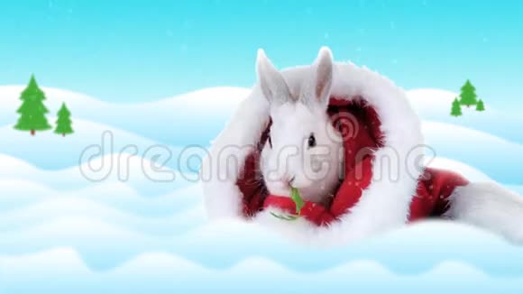 可爱的兔子在圣诞老人的帽子里吃沙拉冬天的背景视频的预览图