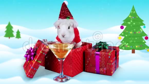 有趣的兔子在礼品盒附近用香槟杯庆祝欢呼声视频的预览图