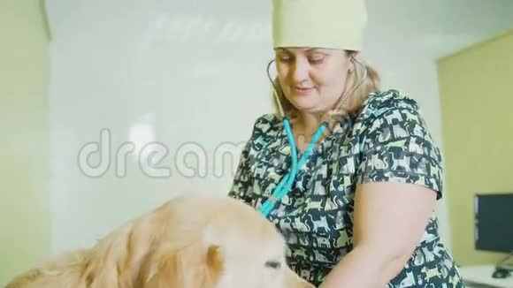 护理和宠物护理大狗在医院检查视频的预览图