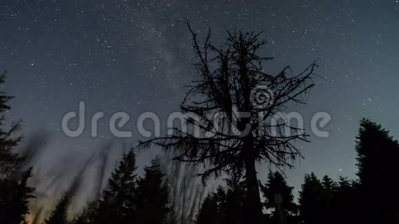 银河系在死树上移动的星空时间流逝天文星空之夜4K视频的预览图