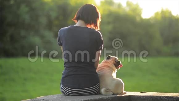快乐的年轻女人和狗坐在一起在户外互相看着对方女孩在公园里抚摸她的拖把温暖的晴天视频的预览图