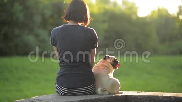 快乐的年轻女人和狗坐在一起在户外互相看着对方女孩在公园里抚摸她的拖把温暖的晴天视频的预览图