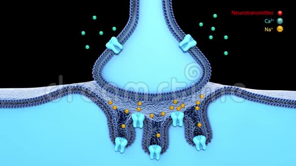蓝色突触和蓝色背景上的神经元3D渲染突触的科学功能或神经元与神经的连接视频的预览图