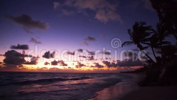 日出时热带海滩上的棕榈树视频视频的预览图