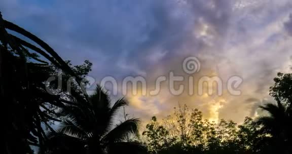 晨间树剪影传递云视频的预览图