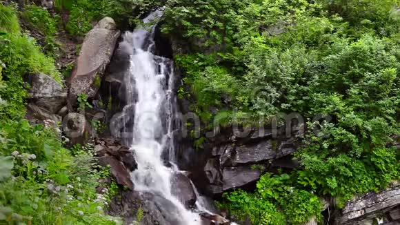 高山瀑布视频的预览图