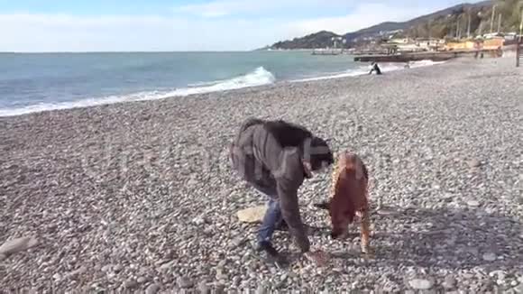 少女训练狗鹅卵石海滩视频的预览图
