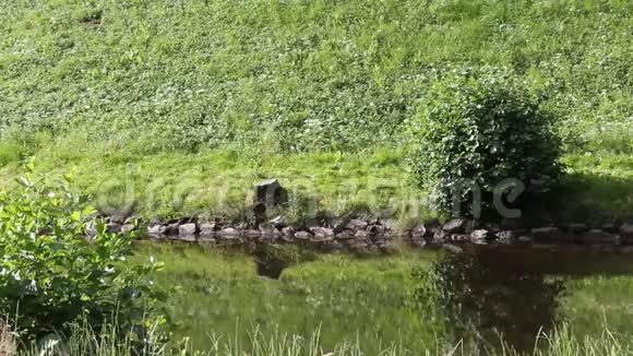 奥斯陆公园视频的预览图