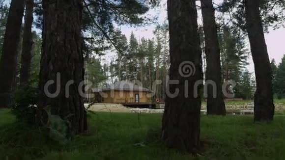 镜头移动穿过树木到草坪的房子视频的预览图