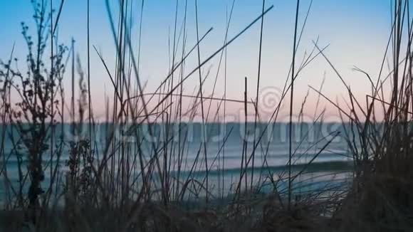 波罗的海海岸线通过草地观景视频的预览图