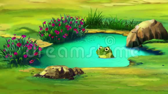 小池塘里的青蛙视频的预览图
