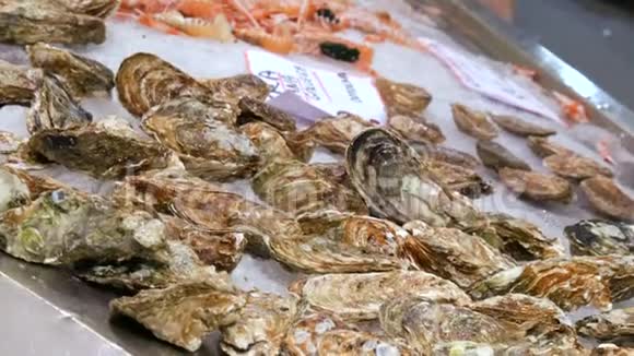 在西班牙的鱼市柜台在冰中大量选择新鲜牡蛎和其他海鲜视频的预览图