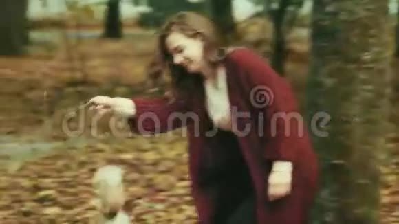 秋天公园里的女孩在玩狗狐狸猎犬视频的预览图