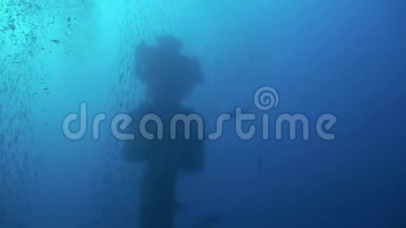 红海埃及鱼汤学派背景下的海难视频的预览图