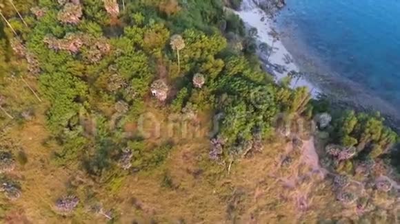 空中美丽的泰国景观棕榈树和小海滩高清慢动侧滑射泰国普吉岛视频的预览图