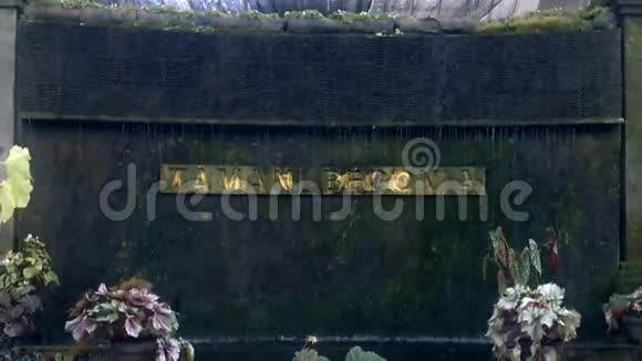 巴厘岛海棠花园喷泉视频的预览图