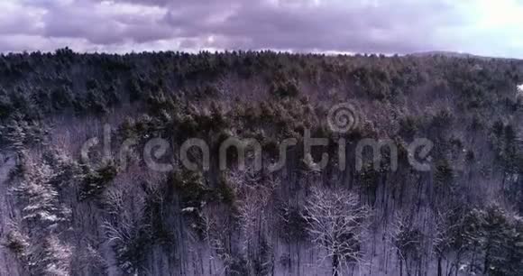 在新英格兰日出时飞越神奇的雪覆盖景观视频的预览图