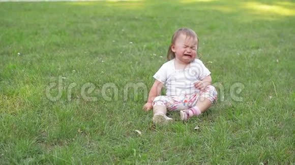 孩子们在绿草如茵的背景下哭泣小女孩花时间在温暖的夏日户外视频的预览图