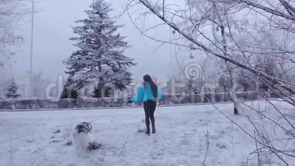 美丽的女孩与狗品种哈士奇是白天在冬季公园视频的预览图