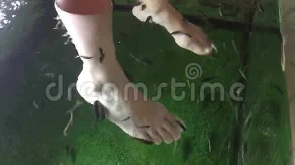 在水族馆里吃死皮和清洁女孩的脚在水疗水中蚕食女人的脚视频的预览图