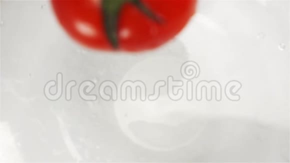 红番茄掉进水里白色背景视频的预览图