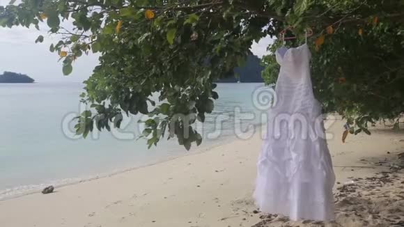 白色婚纱挂在绿树上视频的预览图