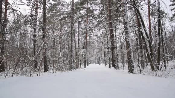 夫妇在冬天的森林里跑步慢动作视频的预览图