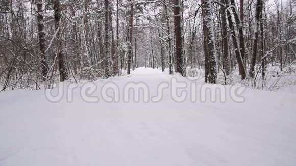 妇女和儿童在冬林中奔跑慢动作视频的预览图