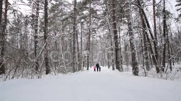 人和孩子牵手在冬林中奔跑慢动作视频的预览图