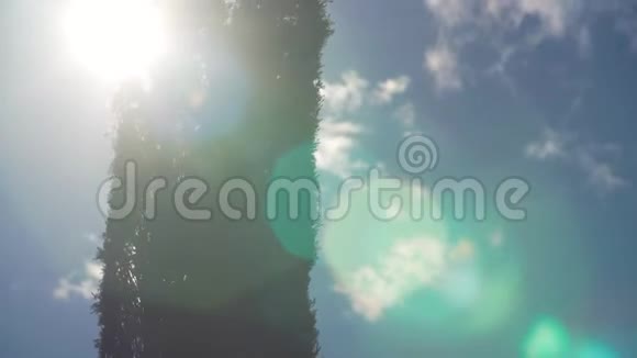 意大利柏树的轮廓在蓝天明亮的太阳面前视频的预览图
