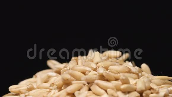缓慢移动燕麦在一堆上掉落的宏观镜头视频的预览图